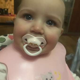 Пустышка Canpol Babies силикон анатомическая от 6 мес. 2 шт.: отзыв пользователя Детский Мир