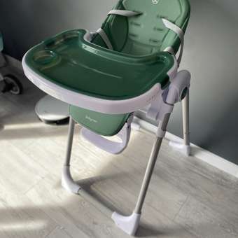 Стульчик для кормления BabyCare Peanut классический: отзыв пользователя Детский Мир
