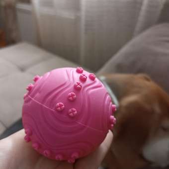 Игрушка для собак Keyprods Мяч пищалка розовый: отзыв пользователя. Зоомагазин Зоозавр