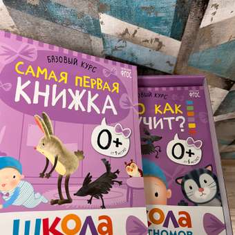 Комплект Школа Семи Гномов Полный базовый курс 0+ 12 книг речь мышление моторика окружающий мир: отзыв пользователя Детский Мир