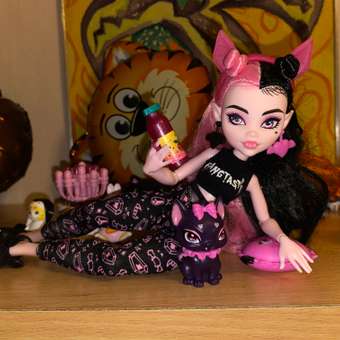 Кукла Monster High Creepover Party Draculaura HKY66: отзыв пользователя ДетМир