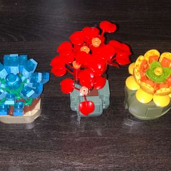 Игрушка- сюрприз Blockformers 1Toy конструктор Цветы пустыни в коробке: отзыв пользователя Детский Мир