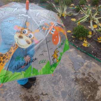 Зонт-трость Little Mania: отзыв пользователя Детский Мир