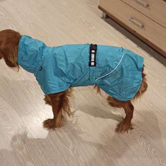 Куртка для собак RUKKA PETS 45 Синий 460406237J33445: отзыв пользователя. Зоомагазин Зоозавр