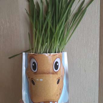 Набор для выращивания Happy Plant: отзыв пользователя Детский Мир
