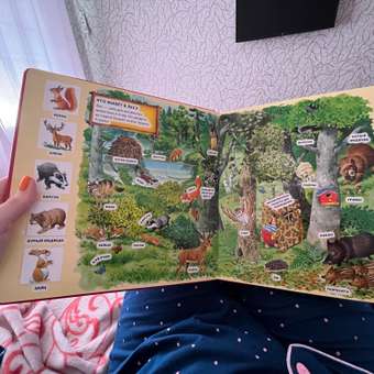 Книга Эксмо В лесу 100 окошек для малышей: отзыв пользователя Детский Мир