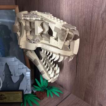 Конструктор LEGO Jurassic World Череп T.Rex 76964: отзыв пользователя Детский Мир