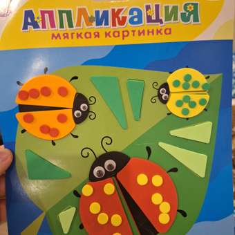 Набор для творчества Дрофа-Медиа аппликация Божьи коровки: отзыв пользователя Детский Мир