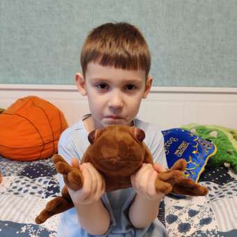 Мягкая игрушка Harry Potter Шоколадная лягушка: отзыв пользователя Детский Мир
