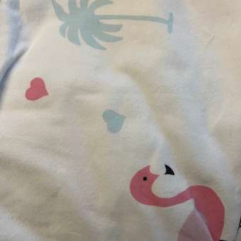 Комплект пеленок Дашенька фланелевых 4 штуки: отзыв пользователя Детский Мир