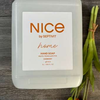 Мыло жидкое NICE by Septivit Дыня 5450 г 5000 мл: отзыв пользователя Детский Мир