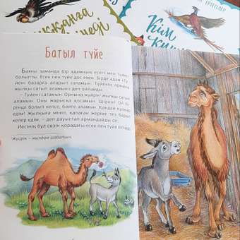 Книга Аруна Храбрый верблюд 50899: отзыв пользователя Детский Мир