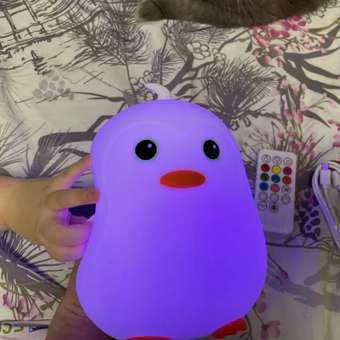Ночник детский силиконовый Zeimas светильник игрушка развивающая Сова с пультом 9 цветов большой размер: отзыв пользователя Детский Мир
