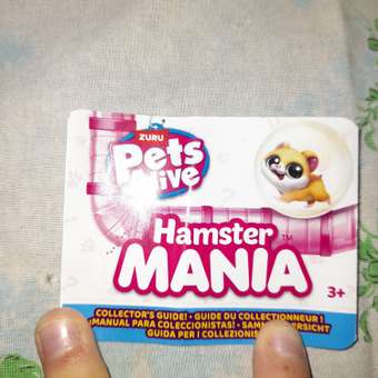 Игрушка Pets Alive Hamstermania Шар в непрозрачной упаковке (Сюрприз) 9543: отзыв пользователя ДетМир