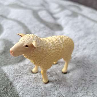 Фигурка животного Collecta Овца: отзыв пользователя Детский Мир
