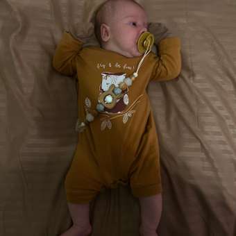 Пустышка BIBS латекс классическая от 0 мес.: отзыв пользователя Детский Мир
