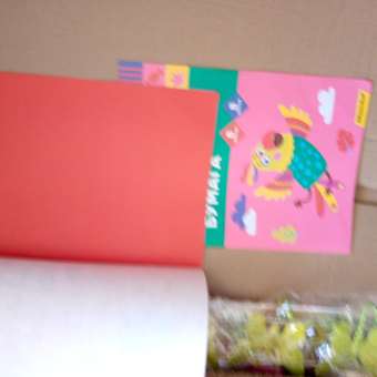 Бумага цветная Silwerhof Попугай А4 8цветов 8л 1469378: отзыв пользователя ДетМир