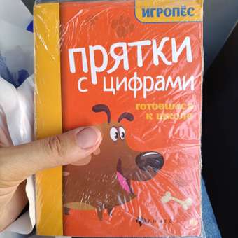 Книга ТД Феникс Прятки с цифрами. Готовимся к школе: отзыв пользователя Детский Мир