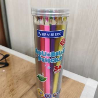 Карандаши акварельные Brauberg 36 шт.: отзыв пользователя Детский Мир