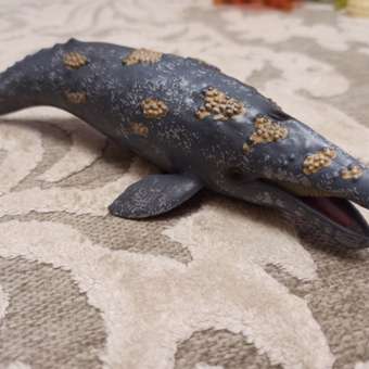 Фигурка морского животного Collecta Серый кит: отзыв пользователя Детский Мир