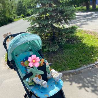 Коляска прогулочная JOVOLA MODUS мятный: отзыв пользователя Детский Мир