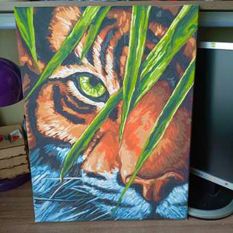 Картина по номерам Art on Canvas Тигриный глаз холст на подрамнике 40*50: отзыв пользователя Детский Мир