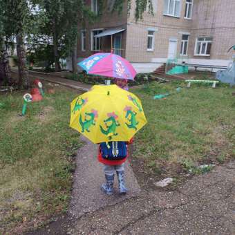 Зонт-трость Wappo: отзыв пользователя Детский Мир