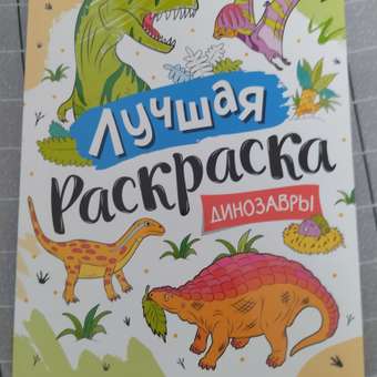 Раскраска Росмэн Лучшая раскраска Динозавры: отзыв пользователя Детский Мир