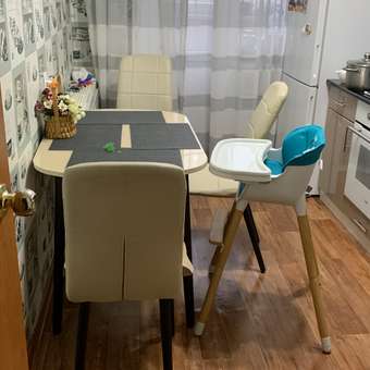 Стульчик для кормления Babyton Woody Turquoise трансформер: отзыв пользователя Детский Мир