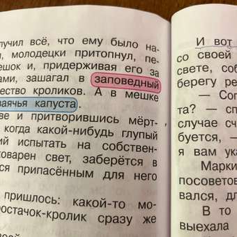 Книга Феникс Школьный словарь 5 в одном: 1-4 классы: отзыв пользователя Детский Мир