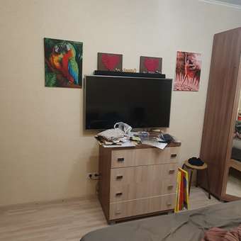 Алмазная мозаика Art on Canvas Попугаи в ассортименте: отзыв пользователя Детский Мир