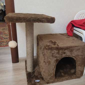 Когтеточка для кошек домик БРИСИ Коричневый: отзыв пользователя Детский Мир