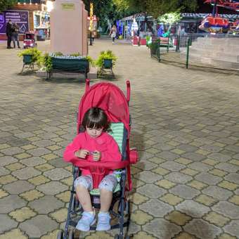 Коляска прогулочная Babyton Zoo Red: отзыв пользователя Детский Мир