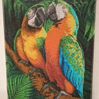 Алмазная мозаика Art on Canvas Попугаи холст на подрамнике 40х50 см: отзыв пользователя Детский Мир
