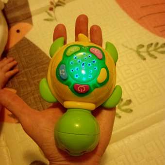 Игрушка BabyGo Черепашка: отзыв пользователя Детский Мир