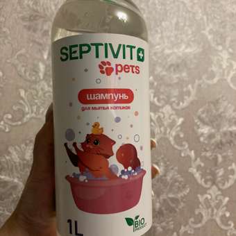 Шампунь для кошек SEPTIVIT Premium 1 л: отзыв пользователя. Зоомагазин Зоозавр