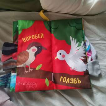 Книжка-шуршалка AmaroBaby Touch book Птицы: отзыв пользователя Детский Мир