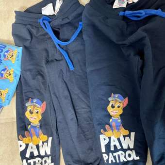 Брюки Paw Patrol: отзыв пользователя Детский Мир
