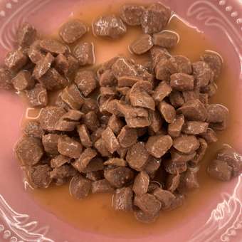 Корм влажный для кошек Eukanuba Cat 85г с кроликом в соусе для взрослых пауч: отзыв пользователя. Зоомагазин Зоозавр