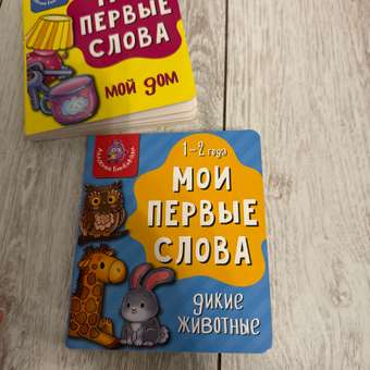 Книжка для малышей BimBiMon Мои первые слова Игрушки и одежда: отзыв пользователя Детский Мир