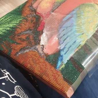 Алмазная мозаика Art on Canvas Попугаи в ассортименте: отзыв пользователя Детский Мир