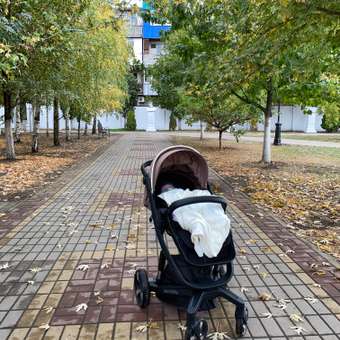 Коляска детская 2 в 1 AmaroBaby TUTUM с AUTO BRAKE бежевый: отзыв пользователя Детский Мир