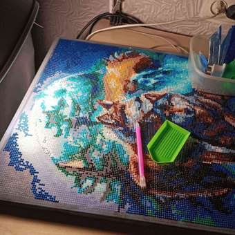 Алмазная мозаика Art on Canvas Лунная ночь в ассортименте: отзыв пользователя Детский Мир
