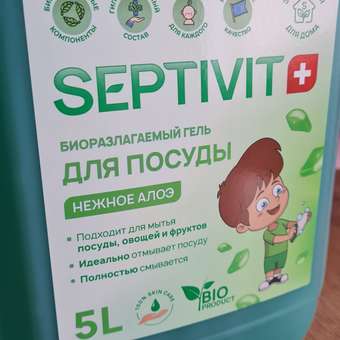 Гель для мытья посуды SEPTIVIT Premium Нежное алое 5л: отзыв пользователя Детский Мир