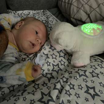 Игрушка BabyGo Овечка: отзыв пользователя ДетМир