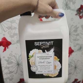 Кондиционер для белья SEPTIVIT Premium Black Pepper 5л: отзыв пользователя Детский Мир