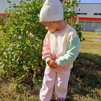 Свитшот Baby Gо: отзыв пользователя ДетМир