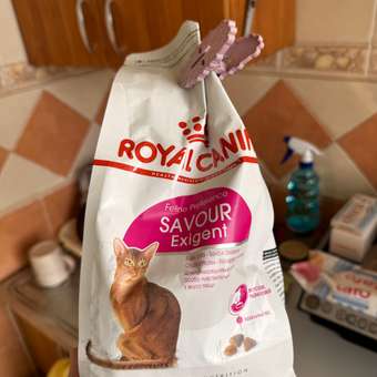 Корм сухой для кошек ROYAL CANIN Exigent Savour 400г привередливых к вкусу продукта: отзыв пользователя. Зоомагазин Зоозавр