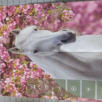 Альбом Panini Лошади Horses: отзыв пользователя Детский Мир