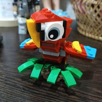 Конструктор LEGO Creator Попугай блочный: отзыв пользователя Детский Мир
